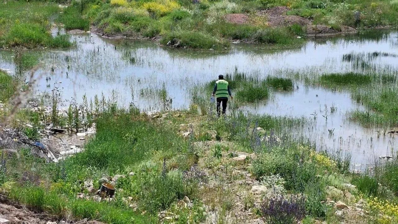 Bayburt Veteriner İşleri haşere mücadelesine başladı