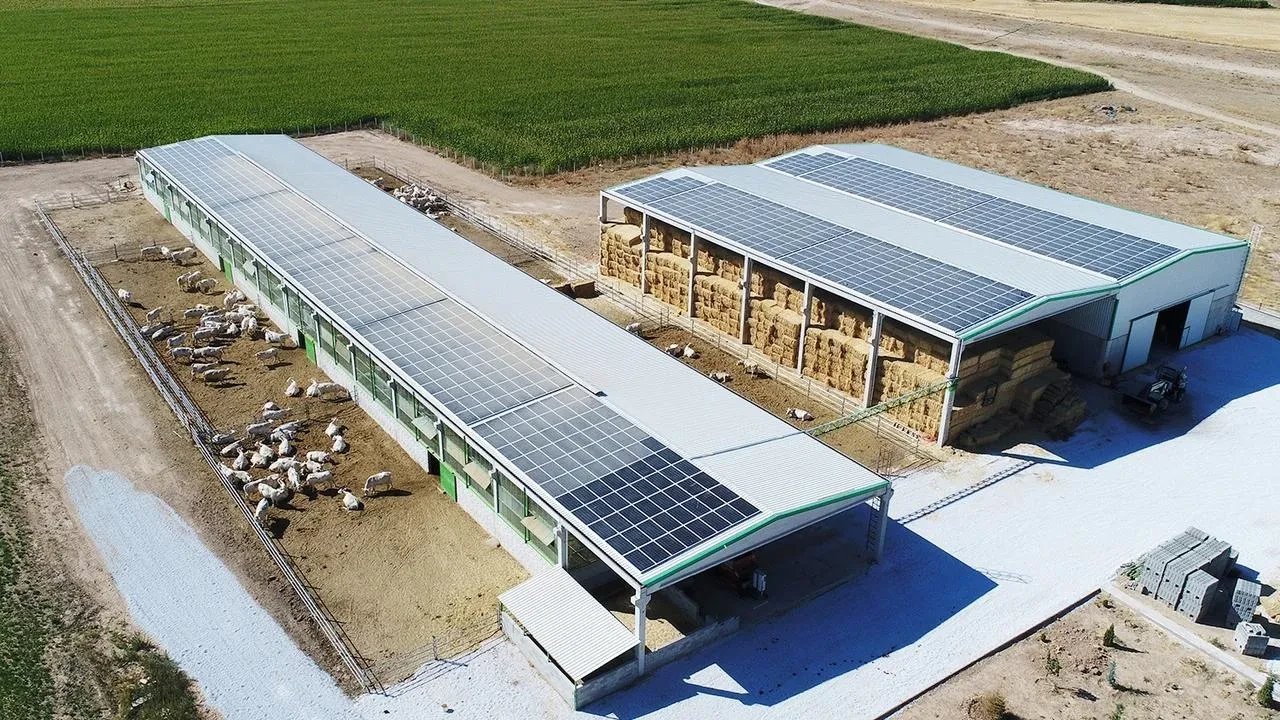 Denizli tarımına 87 milyonluk dev destek geliyor