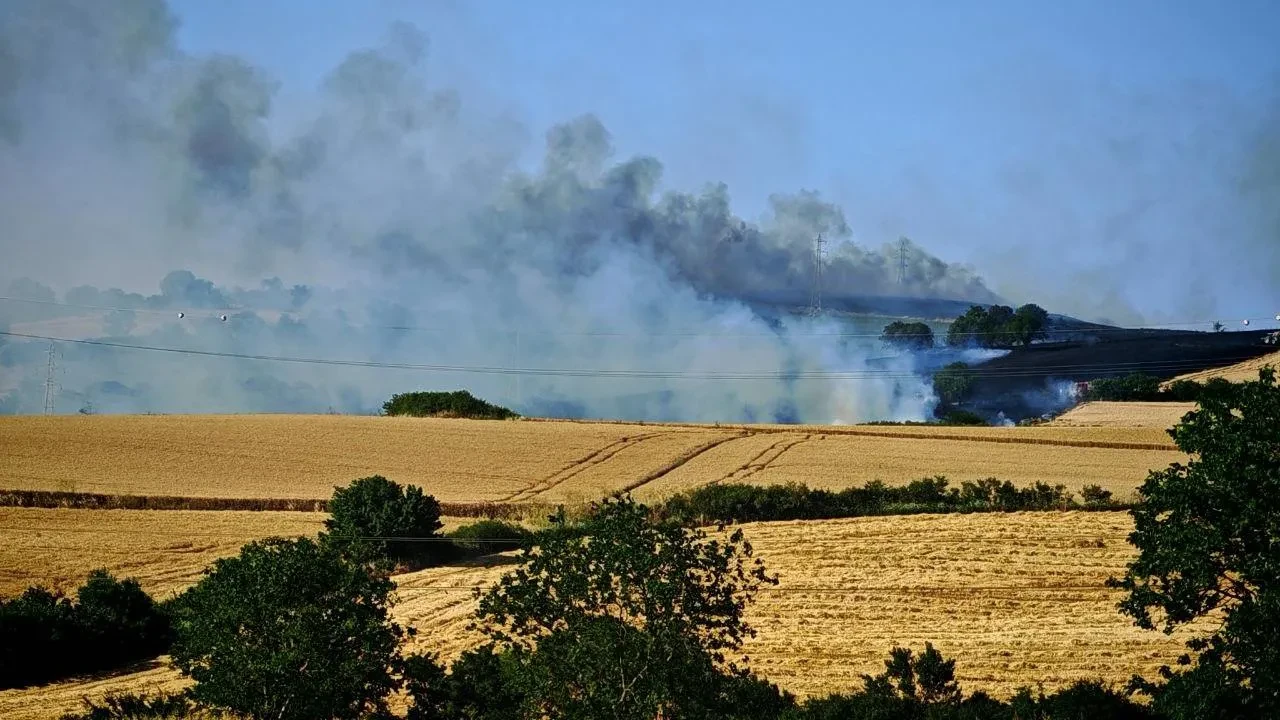 Tekirdağ Malkara buğday tarlası yangınında büyük zarar gördü