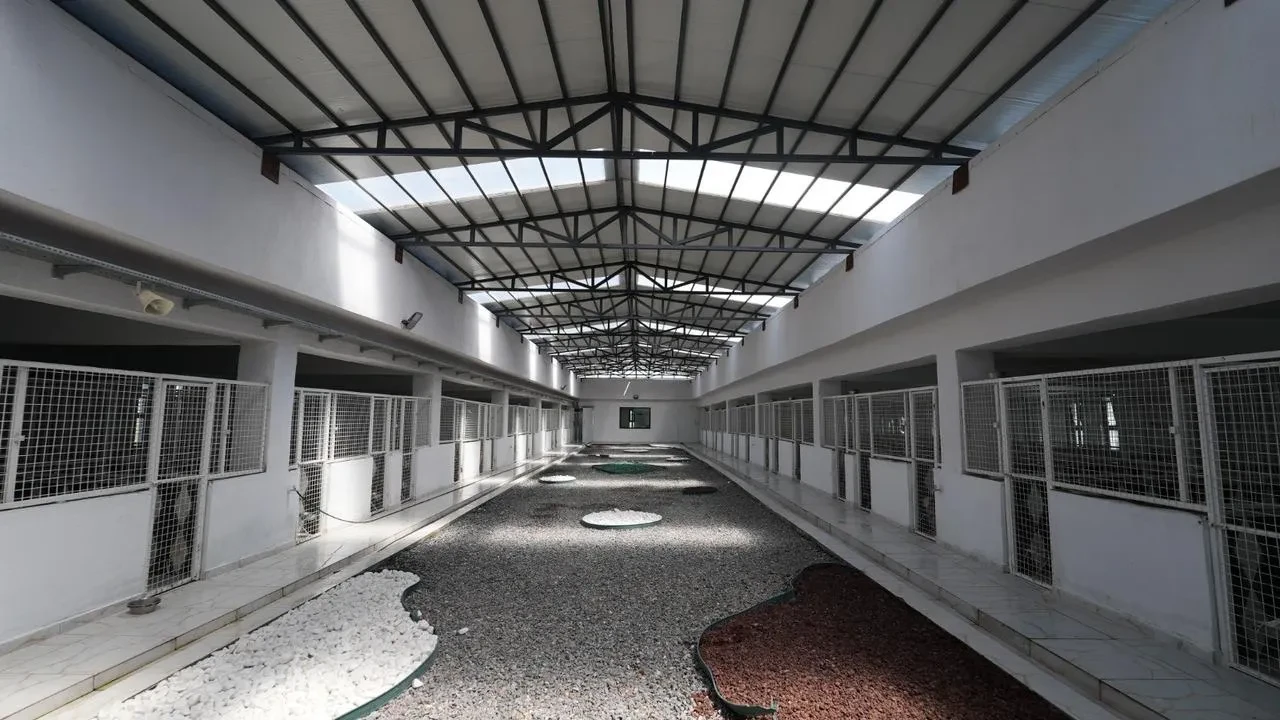 Kayseri Büyükşehir sokak hayvanları için barınak inşa ediyor