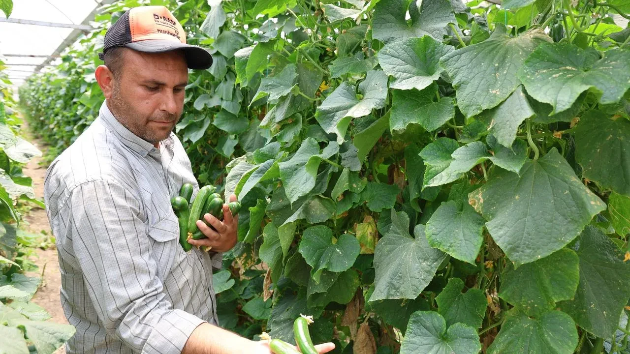 Kahramanmaraşlı anne kız gözleme yaparak başarıyı yakaladı