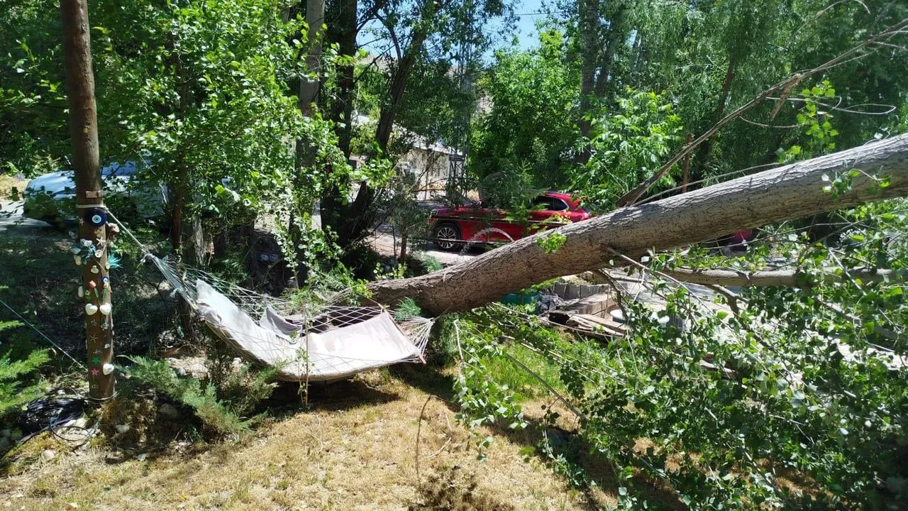 Malatya Darende ilçesinde şiddetli fırtına etkili oldu
