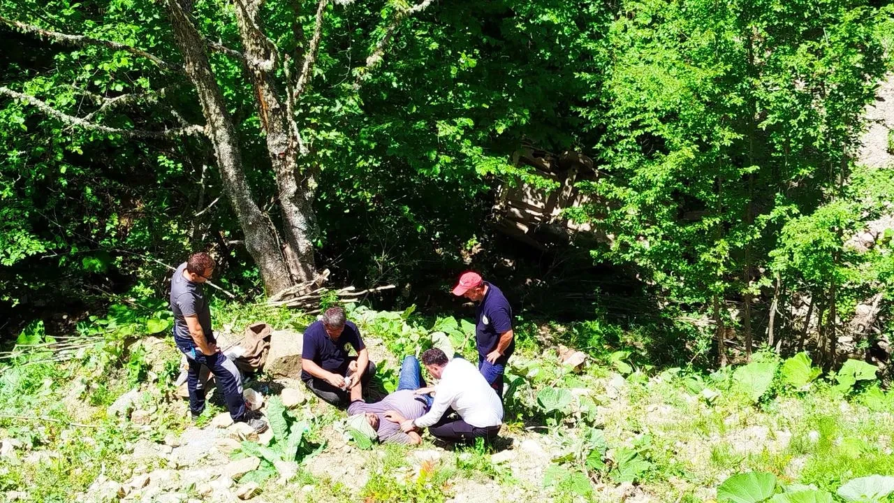 Zonguldak Gümeli yaylasında otomobil şarampole yuvarlandı