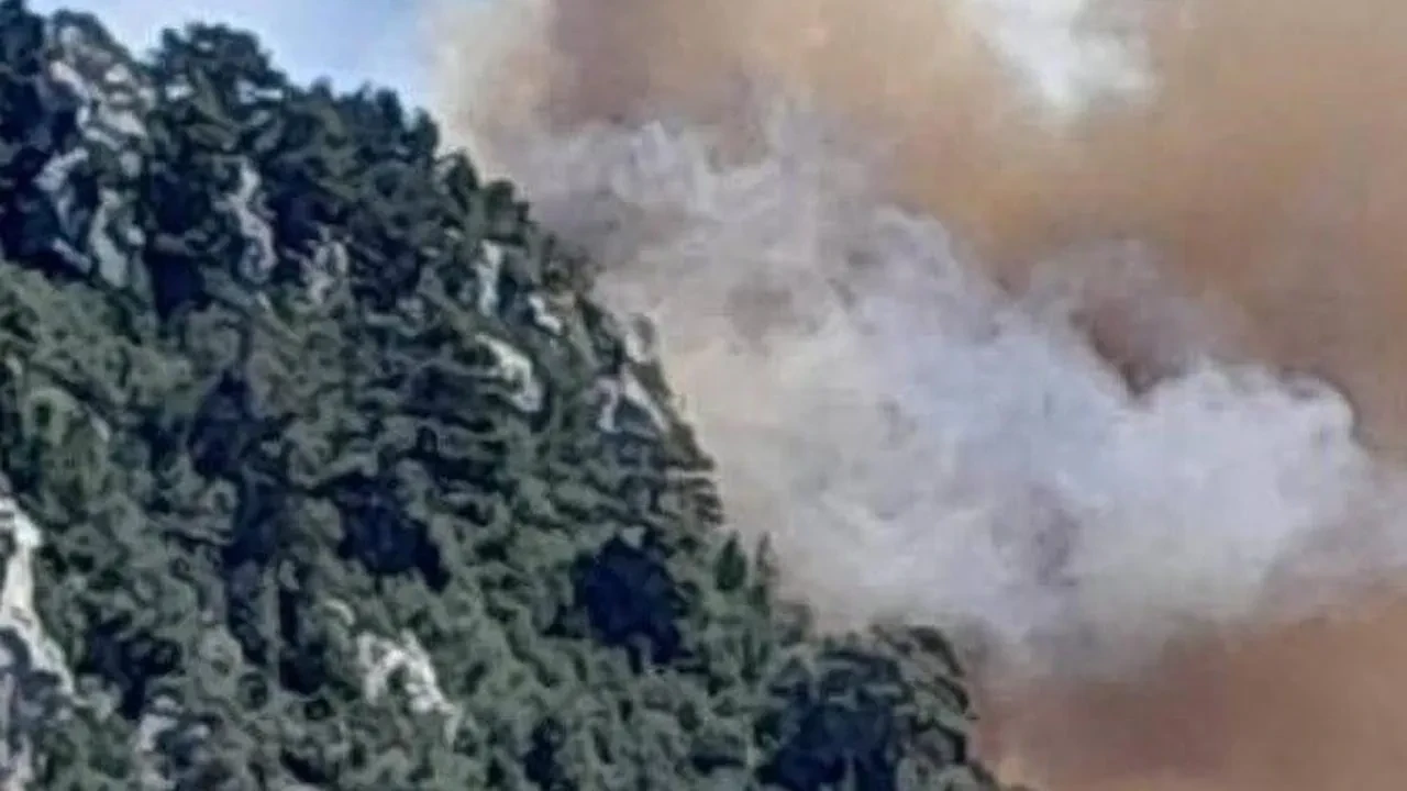 Mersin Bozyazı orman yangını havadan karadan söndürülüyor