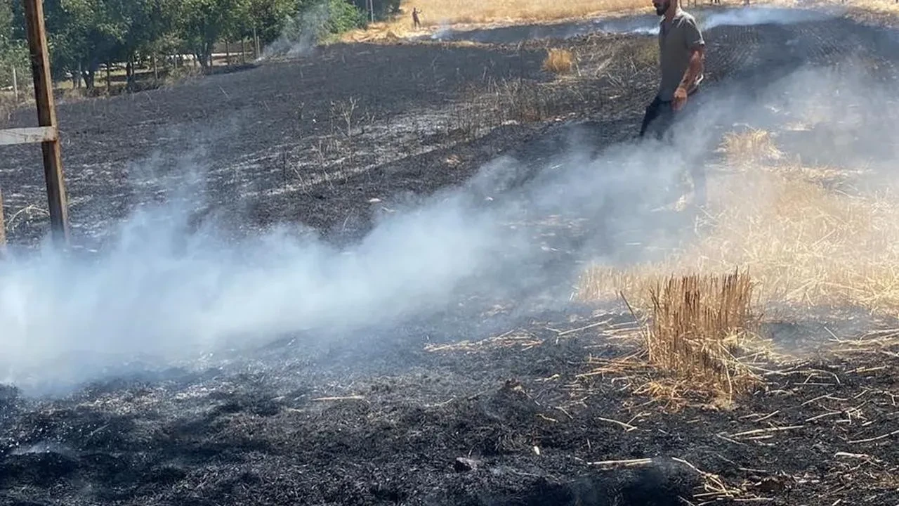 Elazığ Cip köyünde ekili alan yangında yok oldu