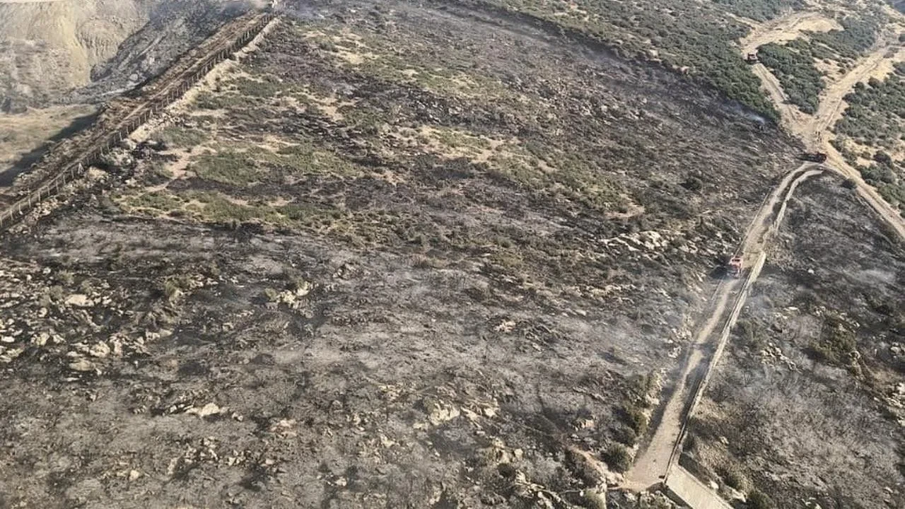 İzmir Bornova makilik yangını havadan karadan söndürüldü