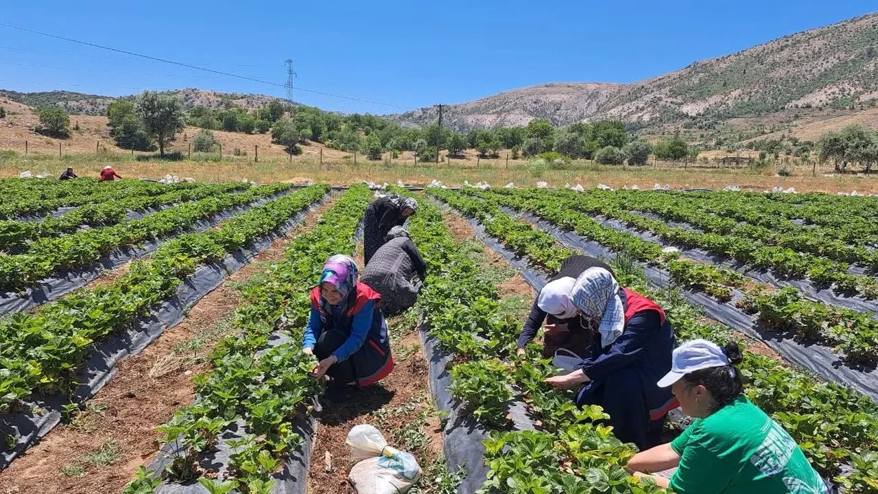 Bozkırın kadın çiftçileri eğitim desteği alıyor