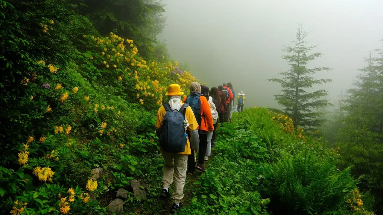 Santa Harabeleri ve Kayıp Santa Yolunu keşfedin