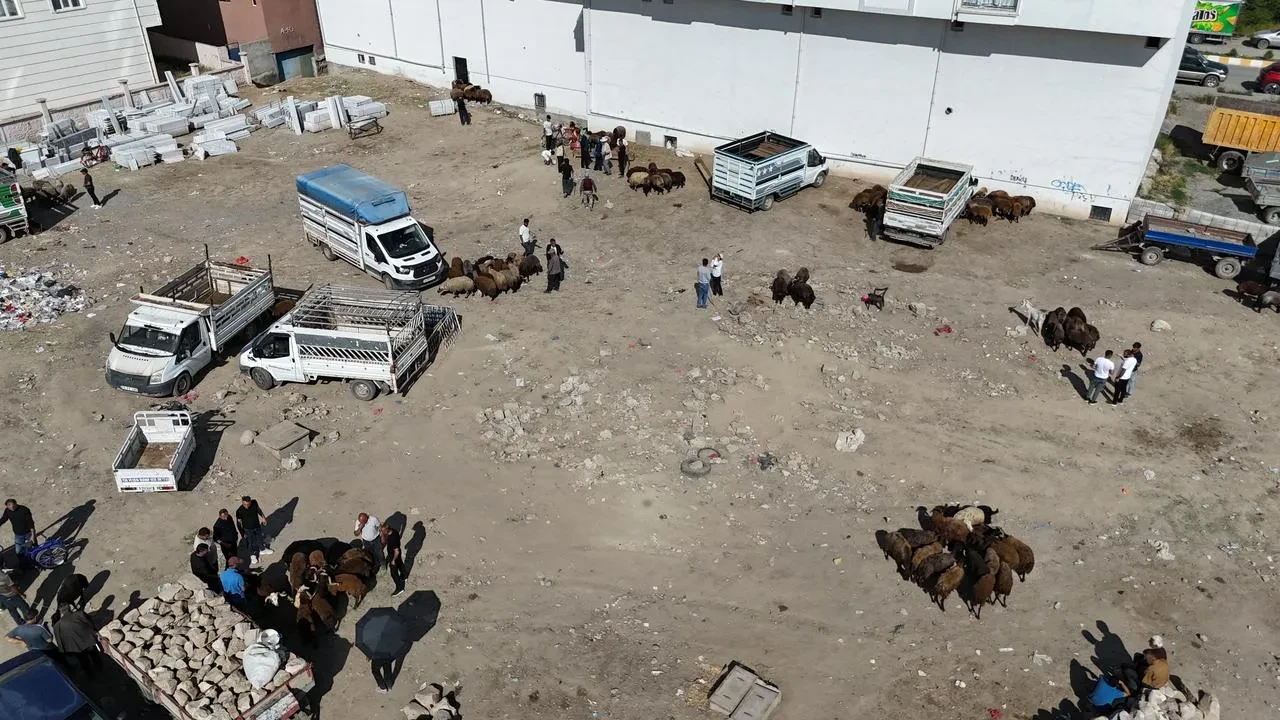 Iğdır kurbanlık pazarı bayram öncesi hareketleniyor