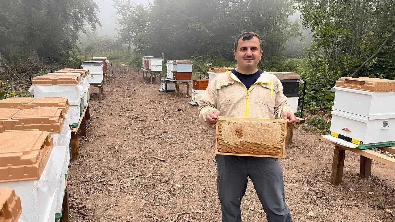 Zonguldak Topan Yaylasında ormangülü balı üretimi keşfedin