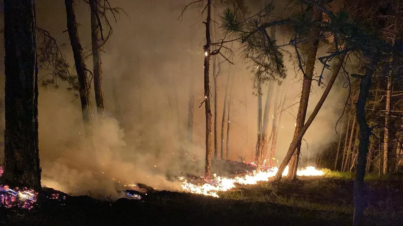 Bolu Göynük orman yangını gece boyunca sürüyor