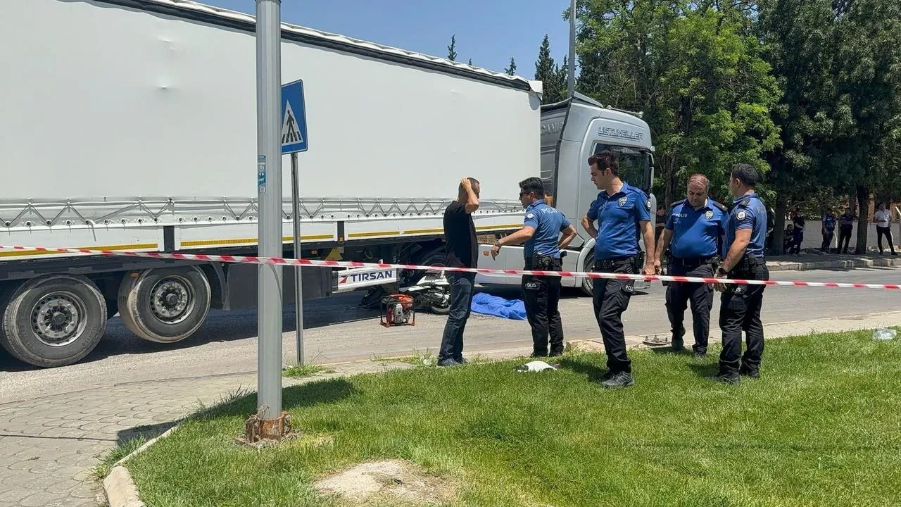 Vefat eden Emel Bayhanın kedileri annesine kavuştu