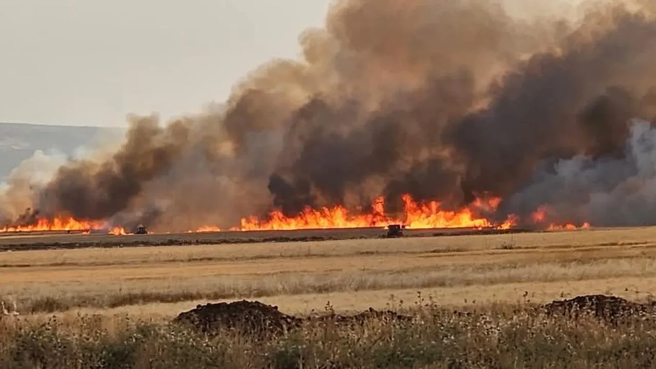 Araban Ovasında buğday tarlaları ve keçiler yandı