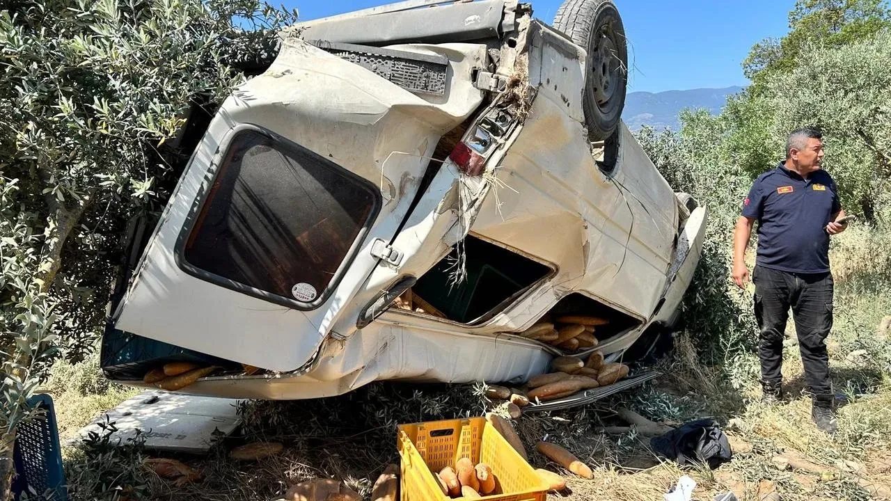 Bozdoğan zeytinlik yolunda ekmek aracı takla attı