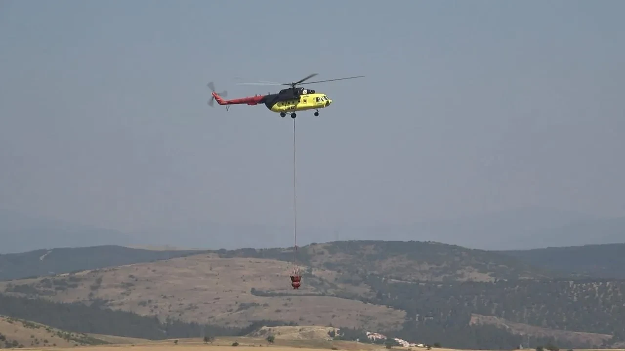 Balıkesir Karesi ilçesindeki orman yangını kontrol altına alındı