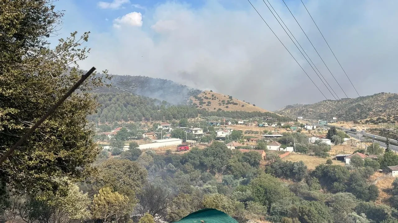 Aydın Efeler tarım arazisindeki yangın yayılmaya devam ediyor