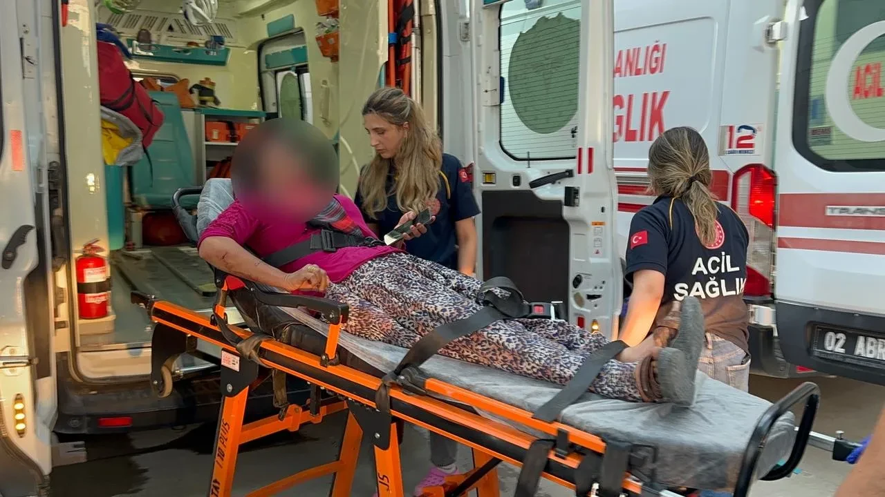 Adıyamanda kadına taş ve bıçakla saldırdılar