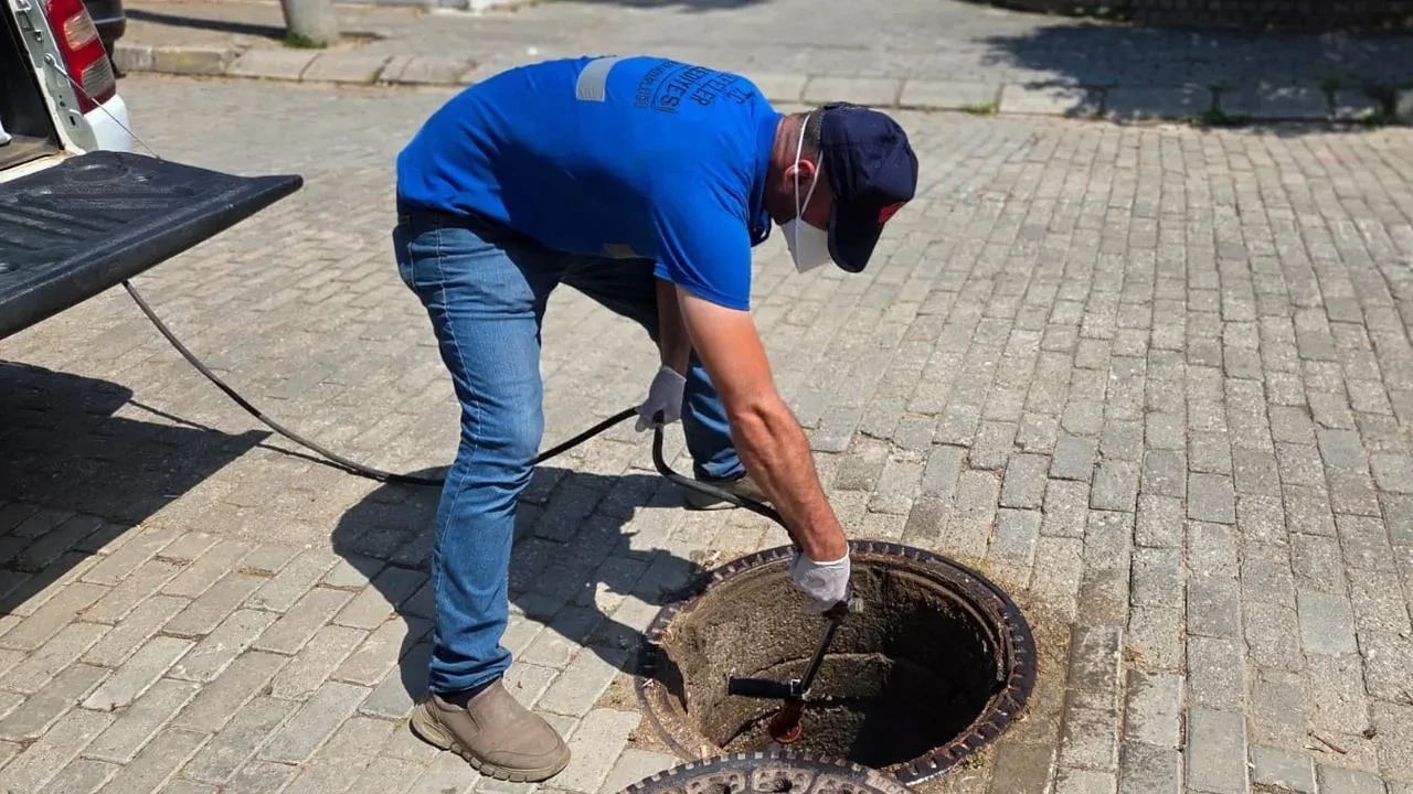 Aydın Efeler haşere istilasına karşı savaş başlattı