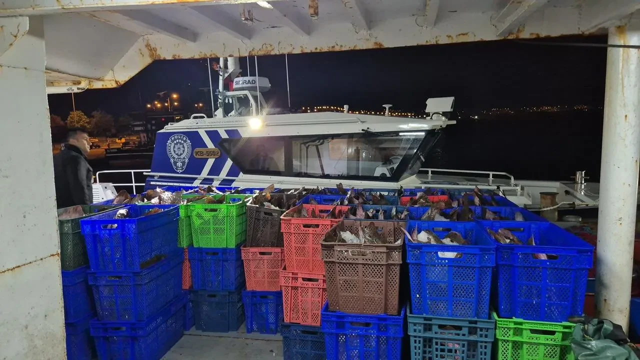 Samsun denizinde 6 ton kaçak balık yakalandı