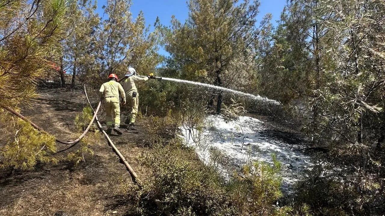 Adana İmamoğlu Üçtepedeki orman yangını söndürüldü
