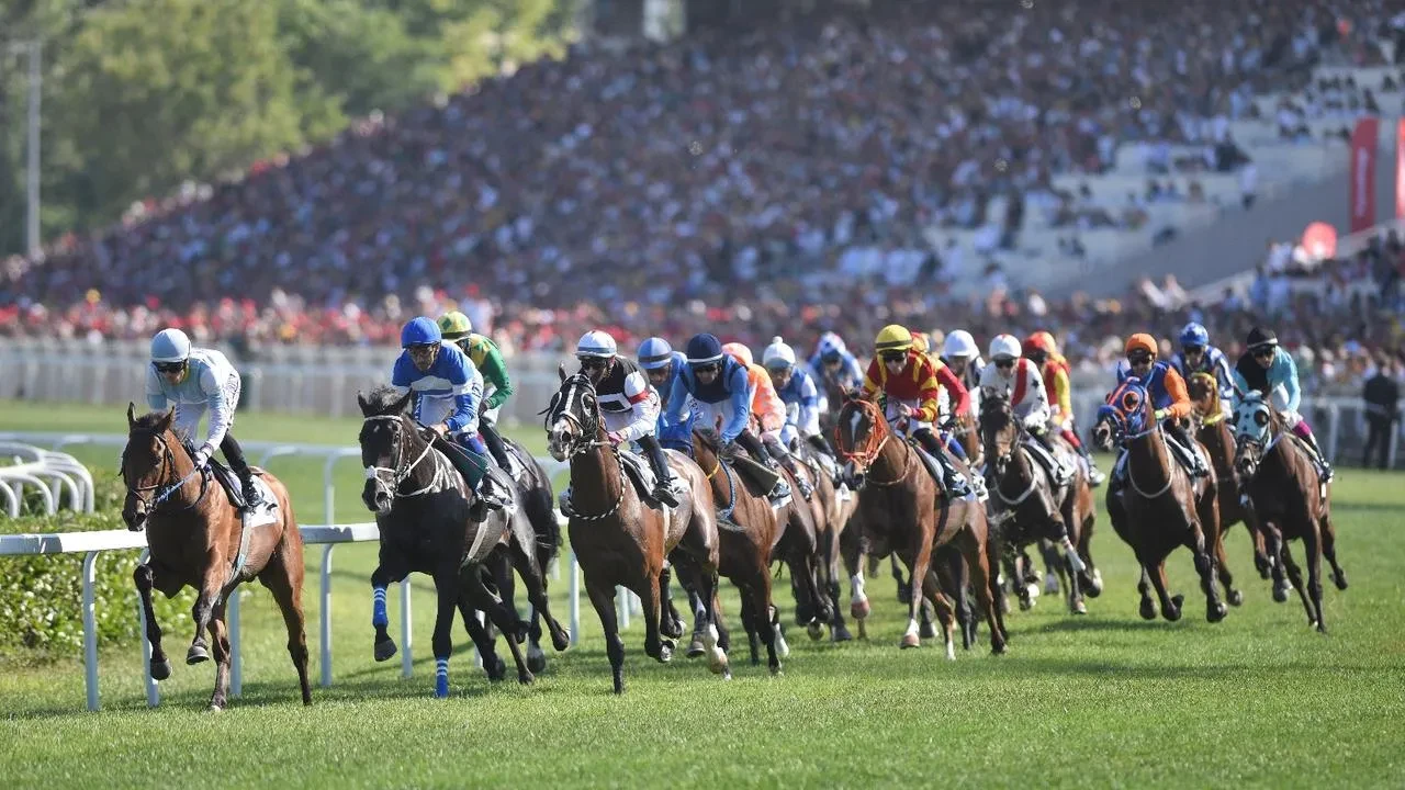 Gazi Koşusu Veliefendi Hipodromunda yarın başlıyor