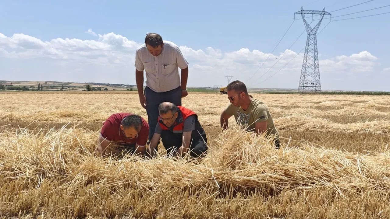 Uşak tarım ekipleri hasat döneminde biçerdöverleri denetledi