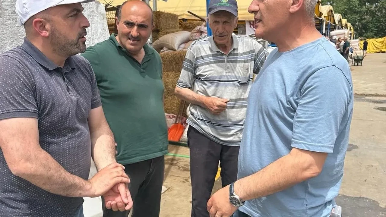 Devrekani kurbanlıkları İstanbul pazarında tam not aldı