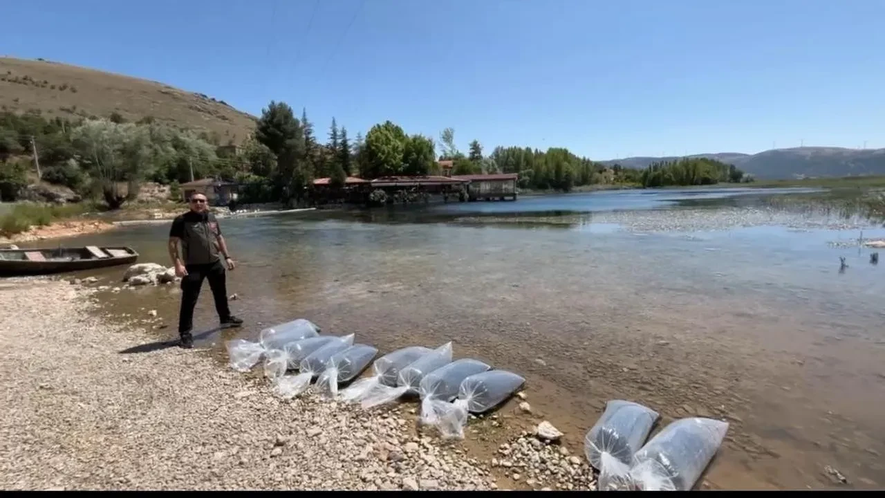 Dinar göletlerine 205 bin yavru balık bırakıldı