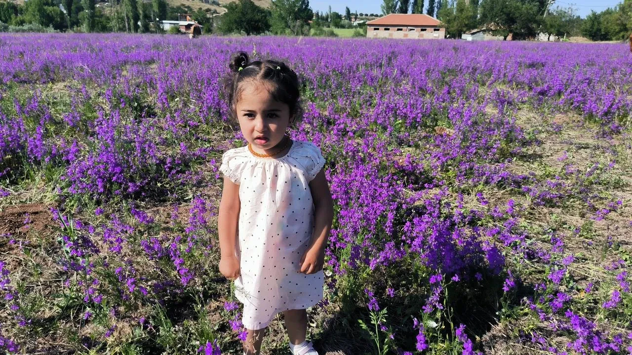 Doğanşehir Çığlık Mahallesinde mor çiçekler büyülüyor