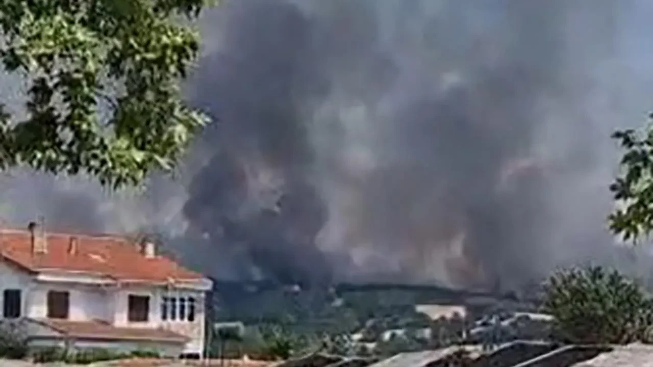 Edirne Keşan orman yangınına tüm ekipler müdahale ediyor