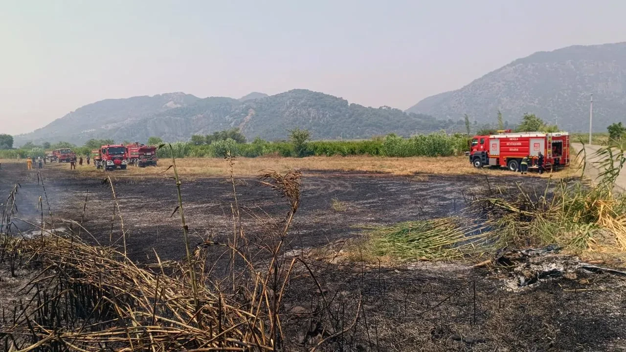 Muğla Ortaca sazlık yangınına itfaiye ekipleri müdahale etti