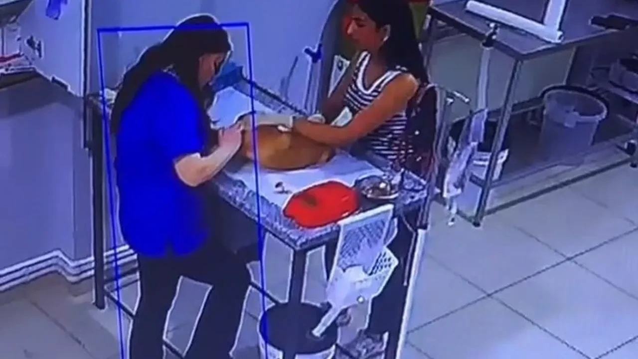 Bursa veteriner kliniğinde köpeğini muayene ettirirken bayıldı