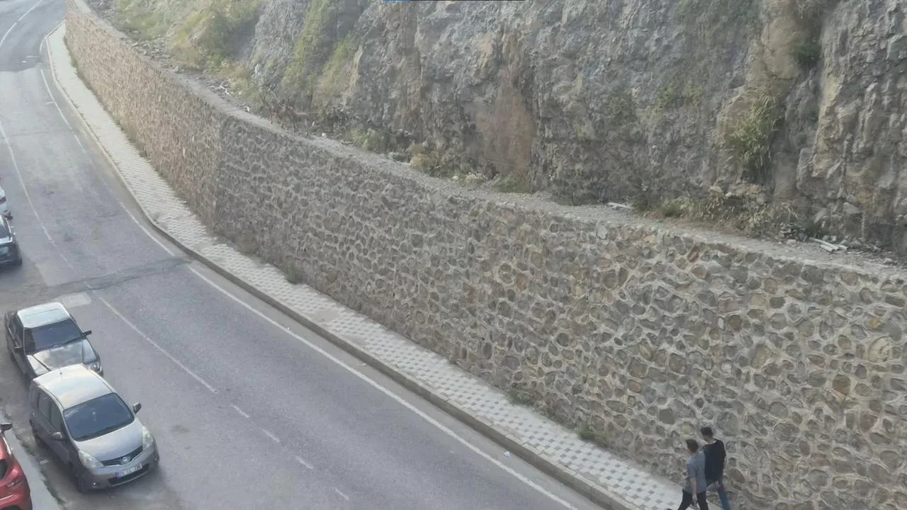 Yaban keçileri Gümüşhane kent merkezini ziyaret etti