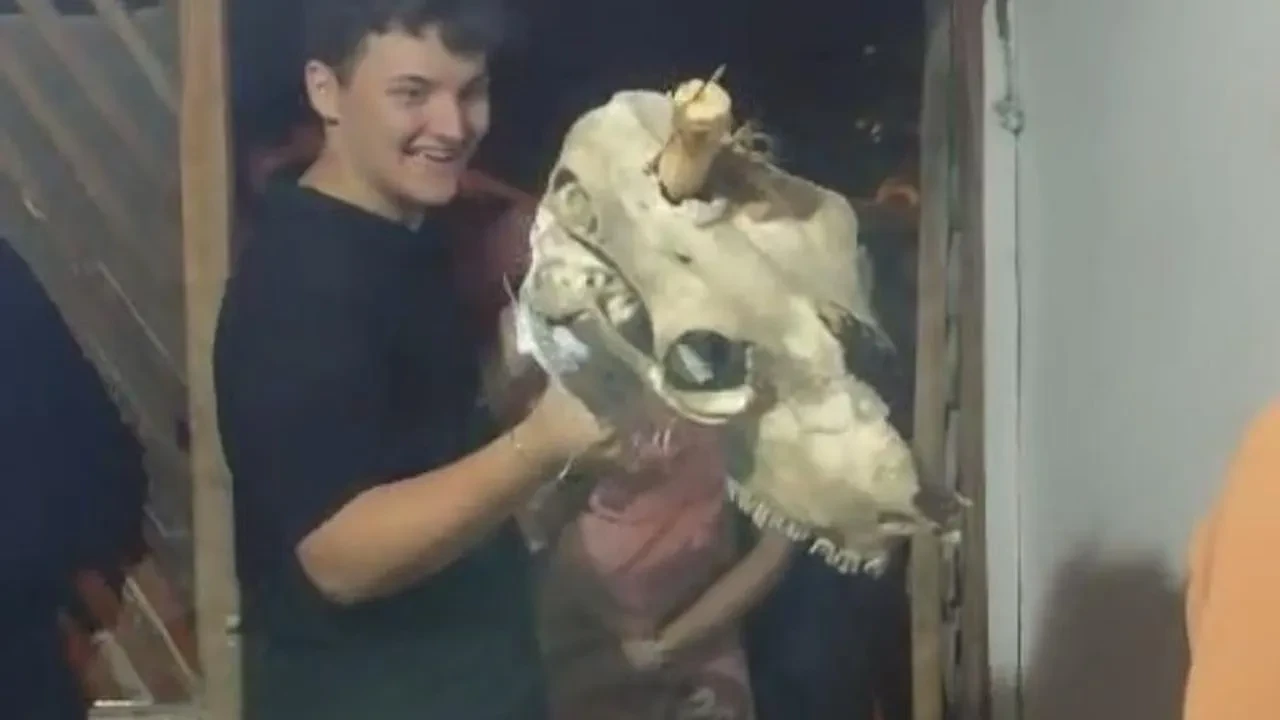 Bolu Bölücekova köyünde deve geleneği yüz yıldır yaşatılıyor