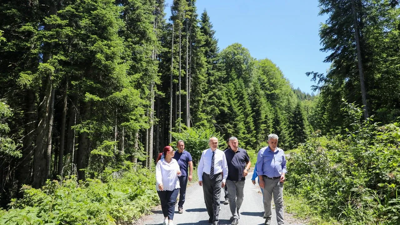 Galatasaray için Düzce yaylalarında yeni tesis aranıyor