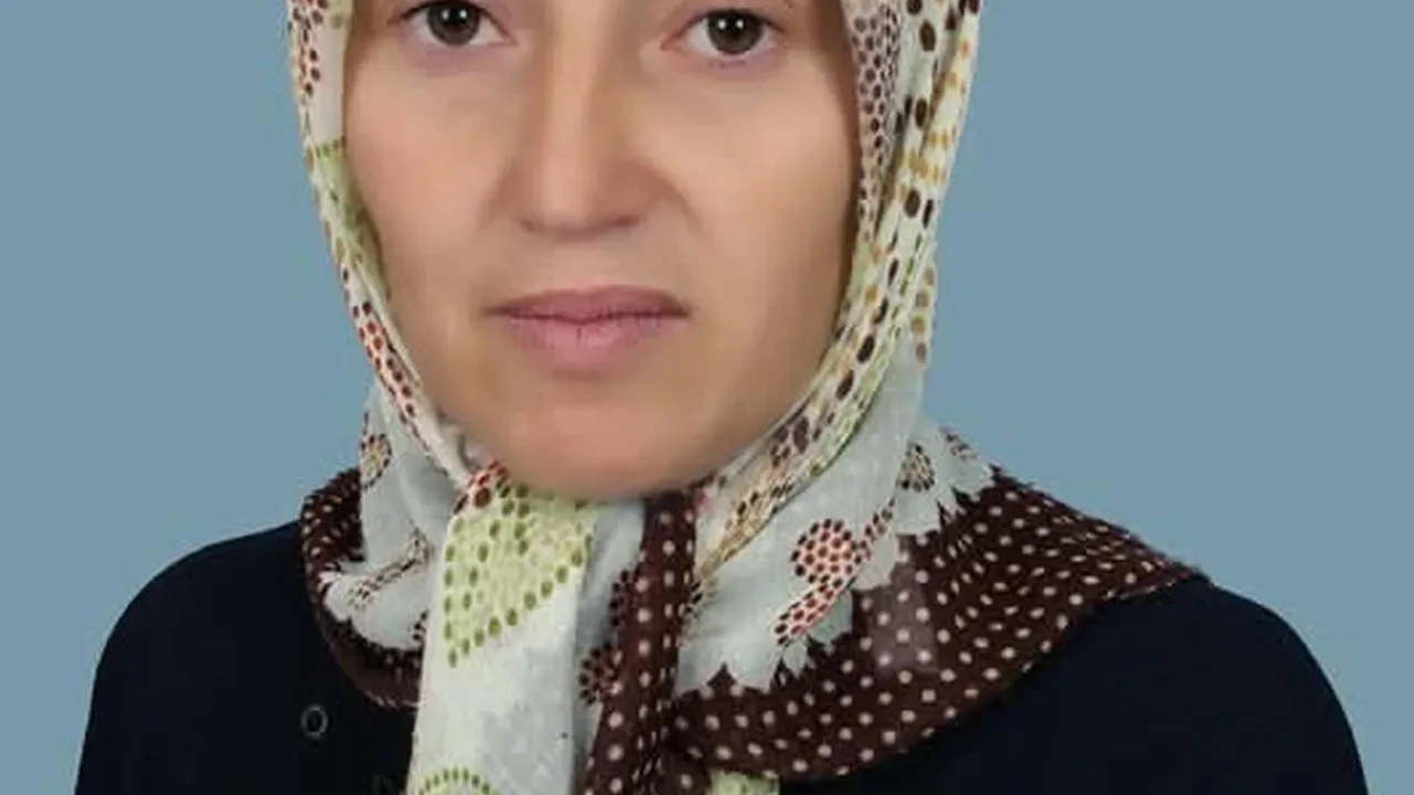 İnebolu'da üzüm yaprağı toplayan anne hayatını kaybetti