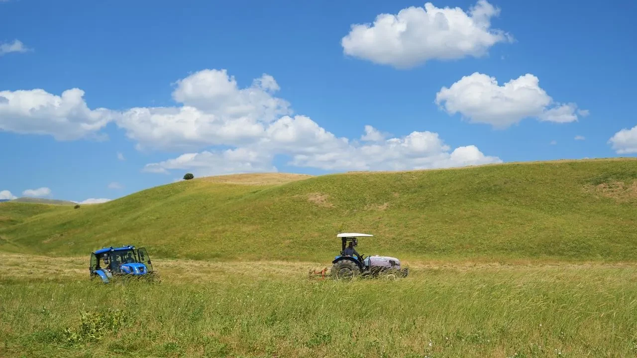 Muş çiftçileri kışlık ot hasadına başladı