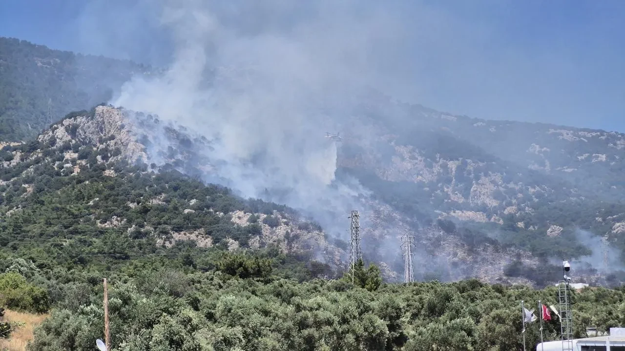 Bodrum Ortakent Midtown AVM yakınındaki orman yangını söndürüldü