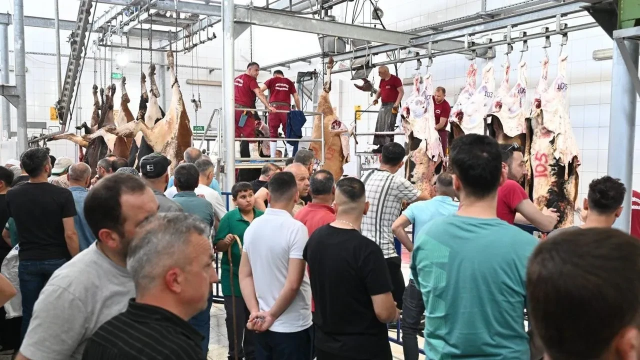 Isparta Belediyesi mezbahada 250 büyükbaş kurban kesti