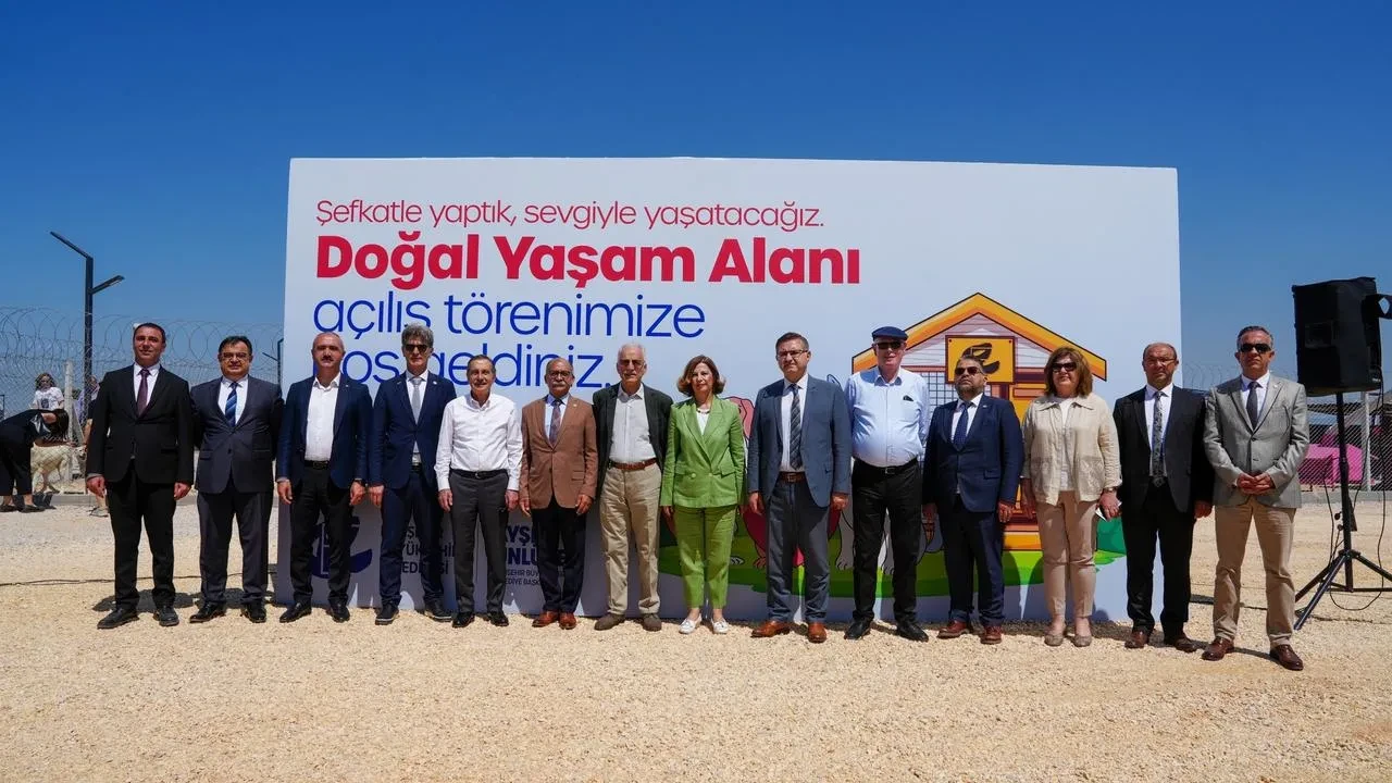 Eskişehir sokak hayvanlarına modern yaşam alanı kuruldu