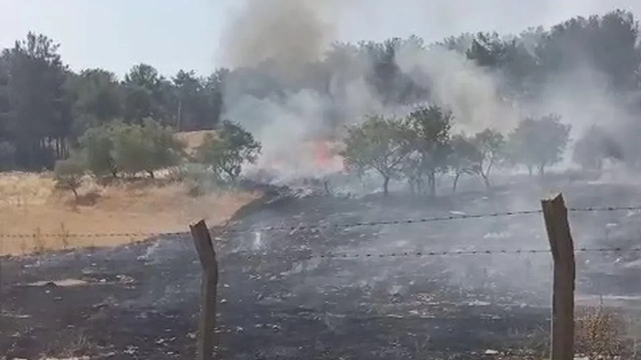 Adıyaman Karadağ ormanındaki yangın kontrol altına alındı