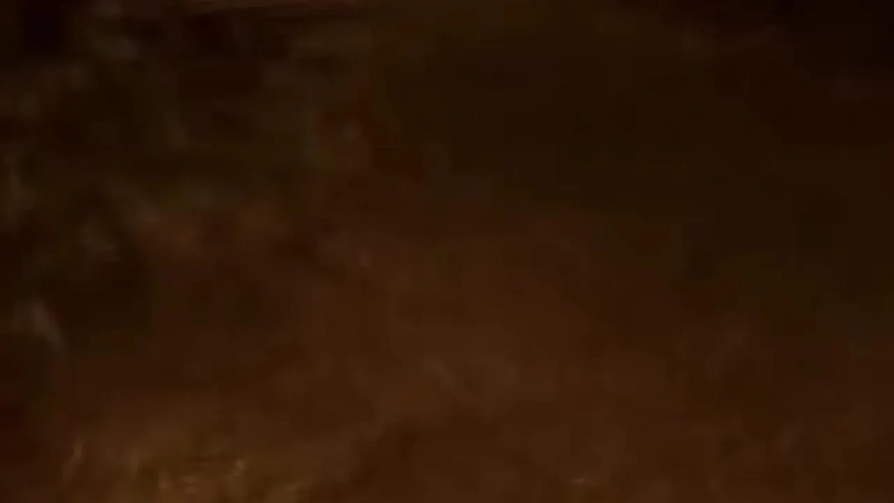 Karabük Öğlebeli Mahallesi mezarlığında ayı görüntülendi