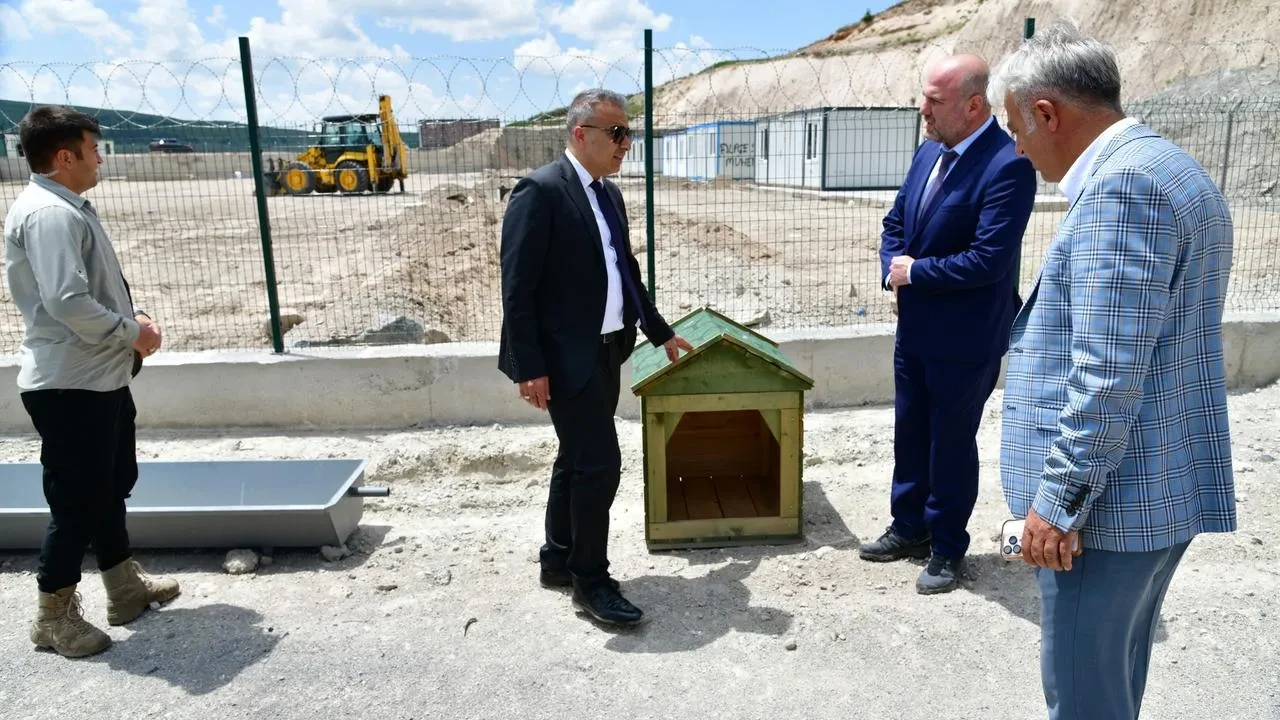 Ardahan sokak hayvanları modern barınağına kavuştu