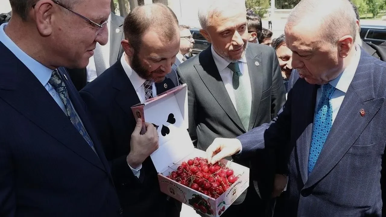 Cumhurbaşkanı Erdoğan Kütahya kirazlarının tadına baktı
