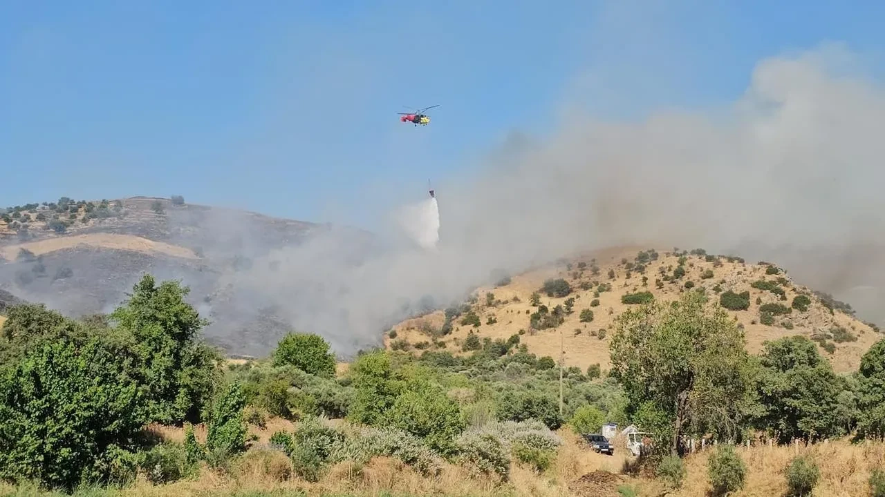 Nazilli zirai alan yangınına havadan karadan müdahale edildi