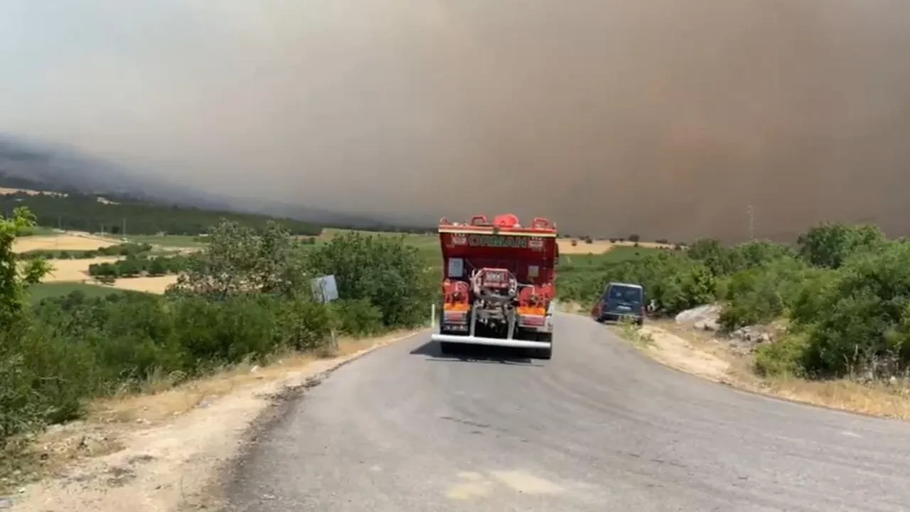 Gölpazarı orman yangınında psikososyal destek ekipleri sahada çalışıyor