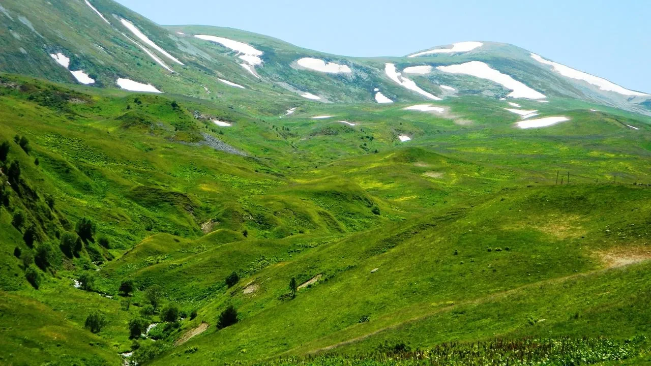 Posof ve Urema Yaylasında göç etkisi başladı