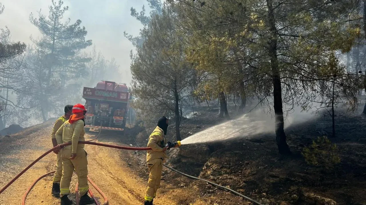 Sakarya orman yangını Bilecik Osmaneli ilçesine ulaştı