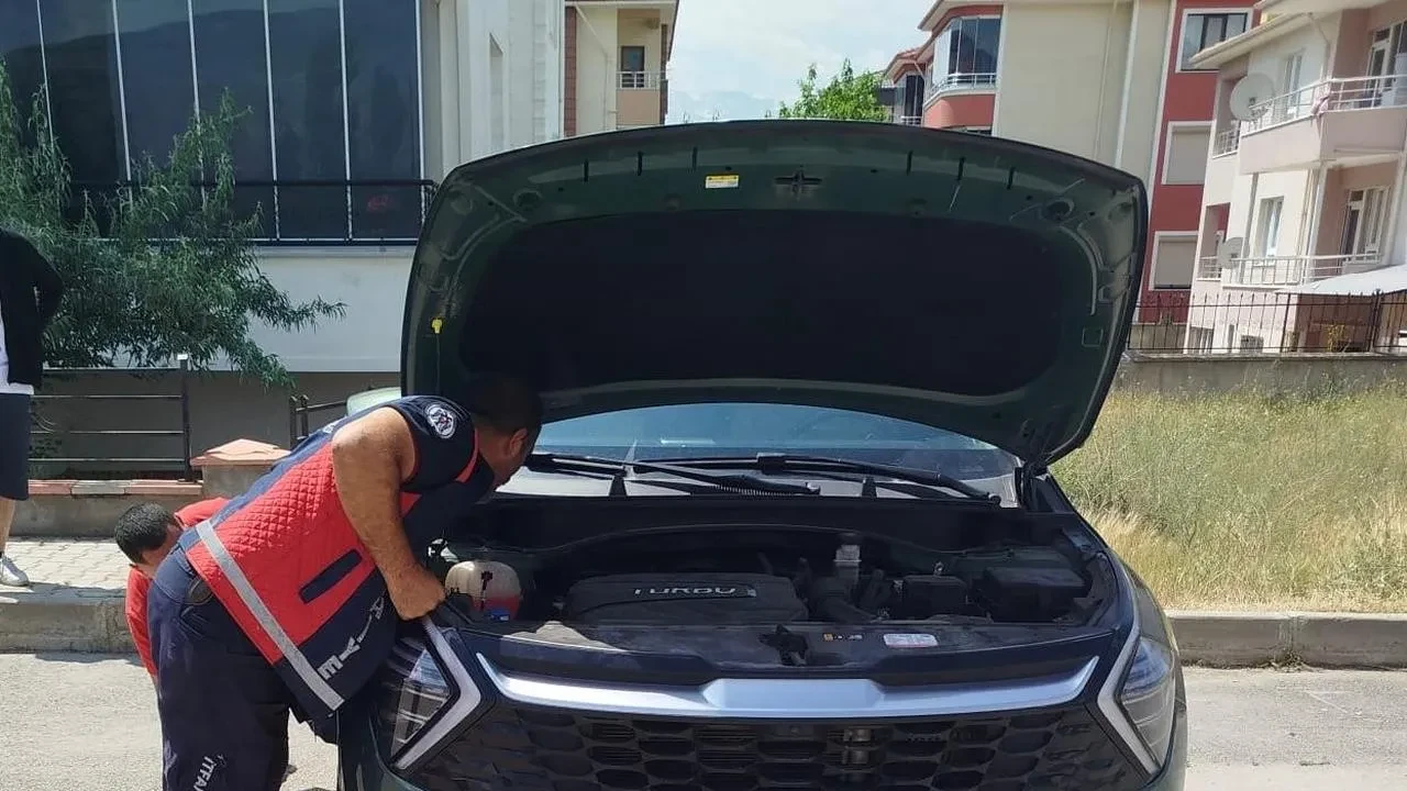 Erzincanda otomobile sıkışan yavru kediler kurtuldu