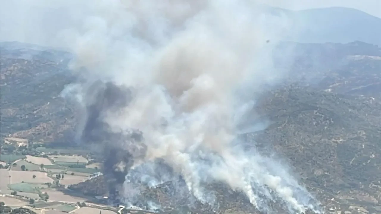 Söke Nalbantlar Mahallesinde tarım arazisinde yangın söndürülüyor